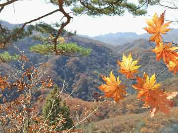 平头哥镇岳510规模上线阿里云 · 快讯